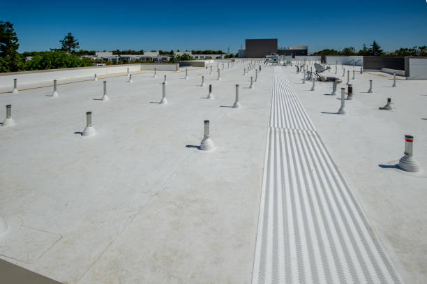 Best Gutter Installation and Repair  in Forest Acres, SC